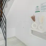 Cervantes Homes No3 *