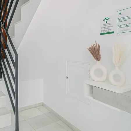 Cervantes Homes No3 *